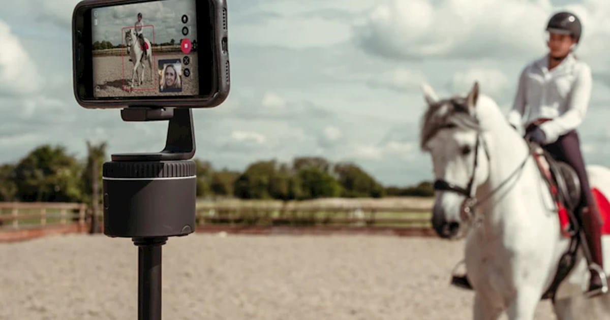 PIVO FEI Partnership